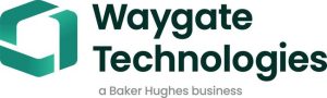 waygate technologies bruker logo